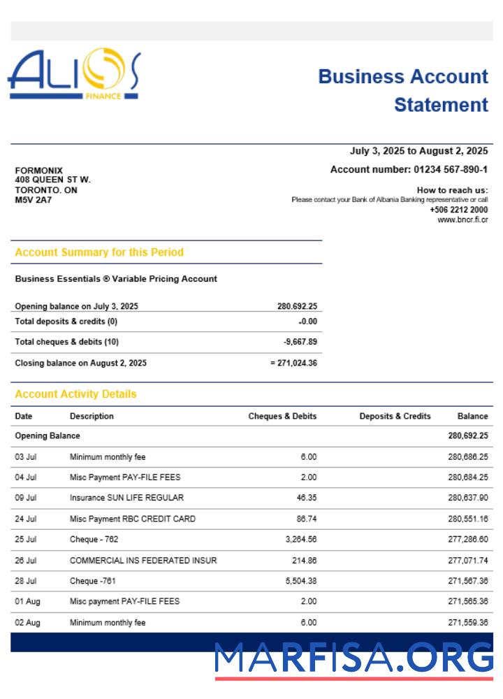 Realistic Alios Finance business firm account statement Word snd PDF format real example